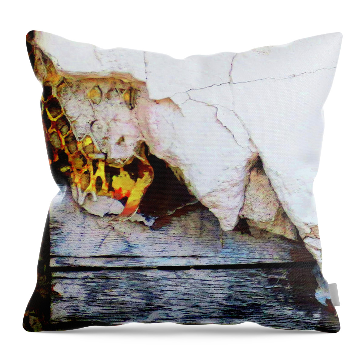 Peeling Paint Throw Pillow featuring the photograph Peel #1 by Jessica Levant