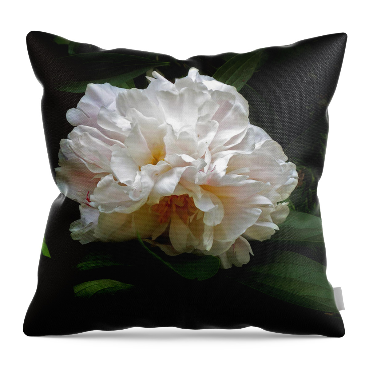Flower Throw Pillow featuring the photograph Peony Petals #1 by Jessica Jenney
