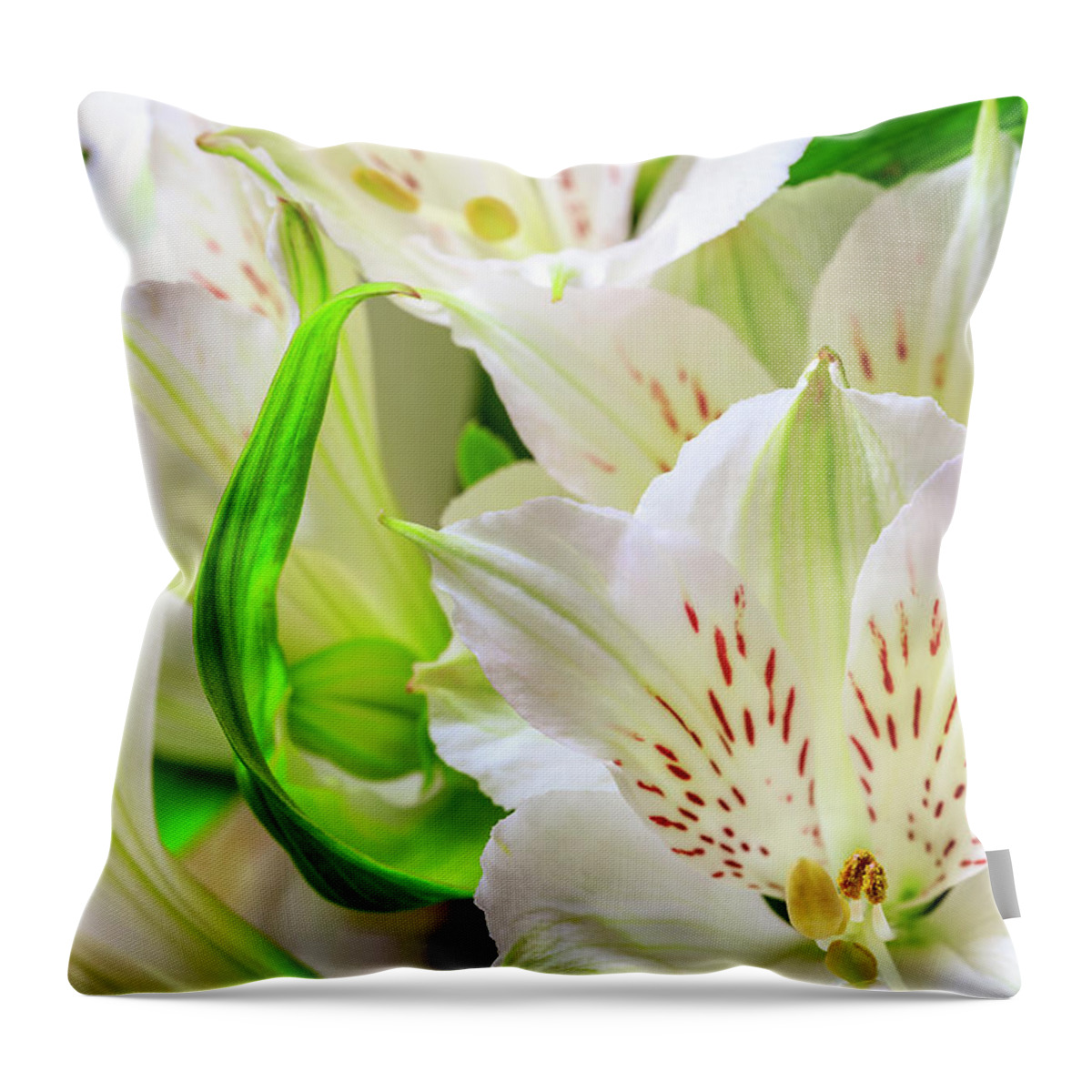 Peruvian Lilies Throw Pillow featuring the photograph Peruvian Lilies In Bloom #2 by Richard J Thompson