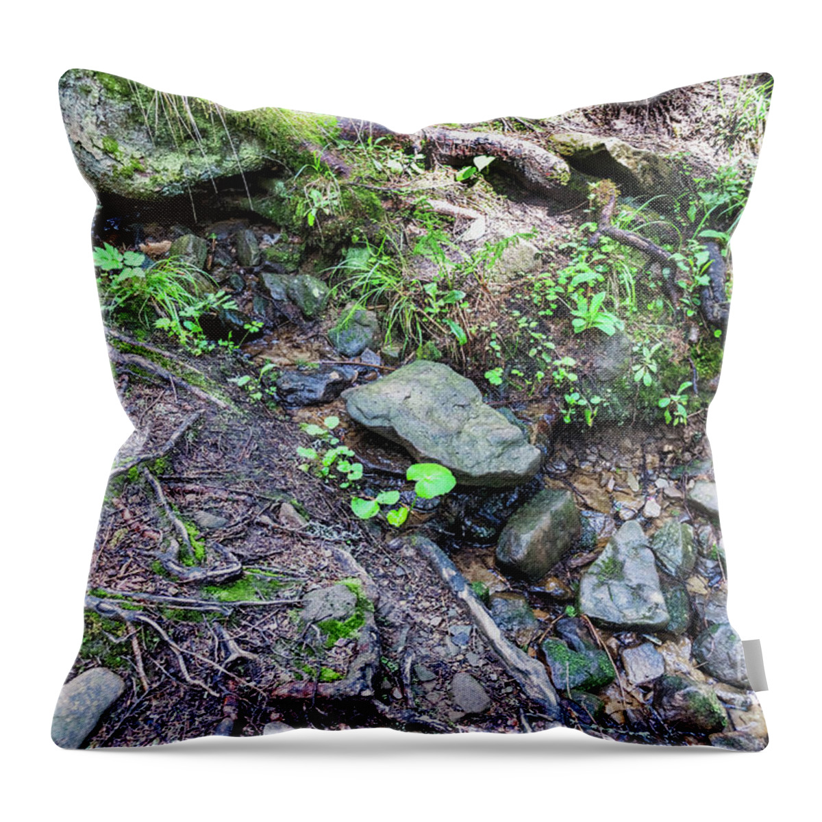 Tree Throw Pillow featuring the photograph Photo of forest in Costa who travel route to Mount Hoverla #1 by Oleksandr Masnyi