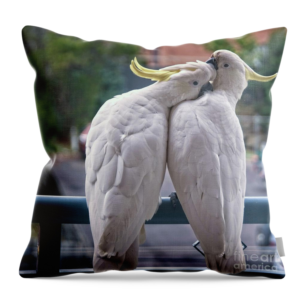 Cockatoo Throw Pillow featuring the photograph Photo Series -Two amorous Australian Sulphur Crested Cockatoos f #1 by Geoff Childs