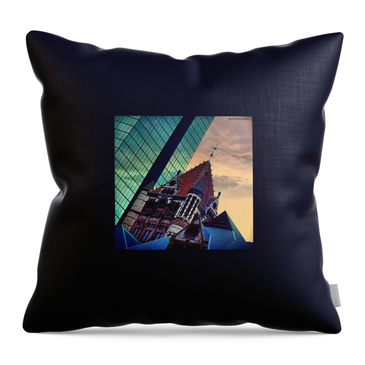 Beautiful Throw Pillow featuring the photograph Photoshopping Throwback Thursday - #1 by Austin Tuxedo Cat