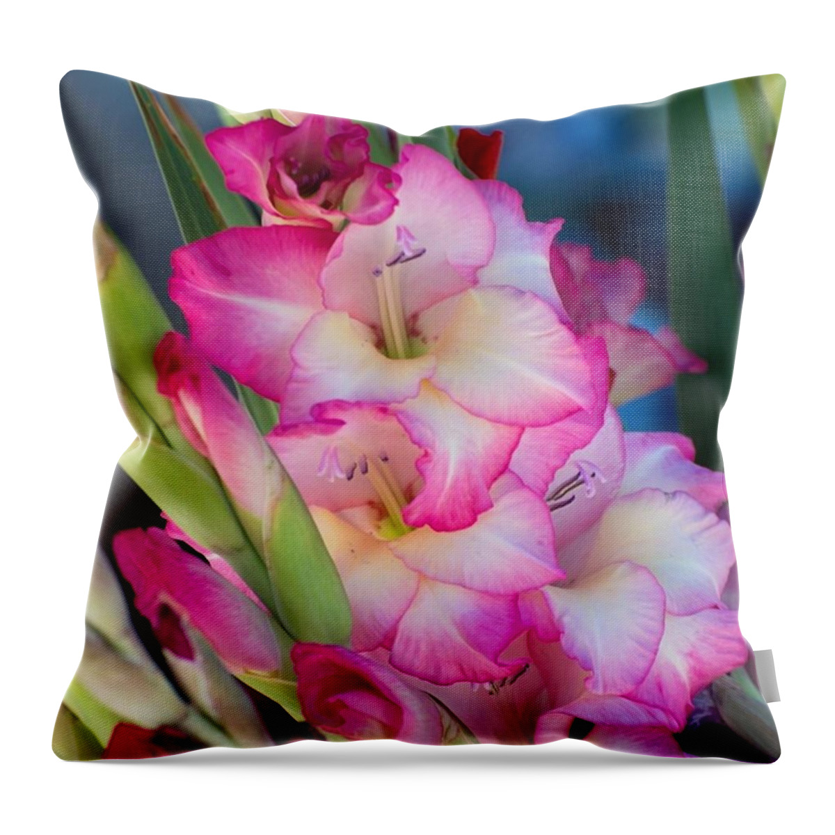 Pink Throw Pillow featuring the photograph Pink And White Flowers by Michael Moriarty