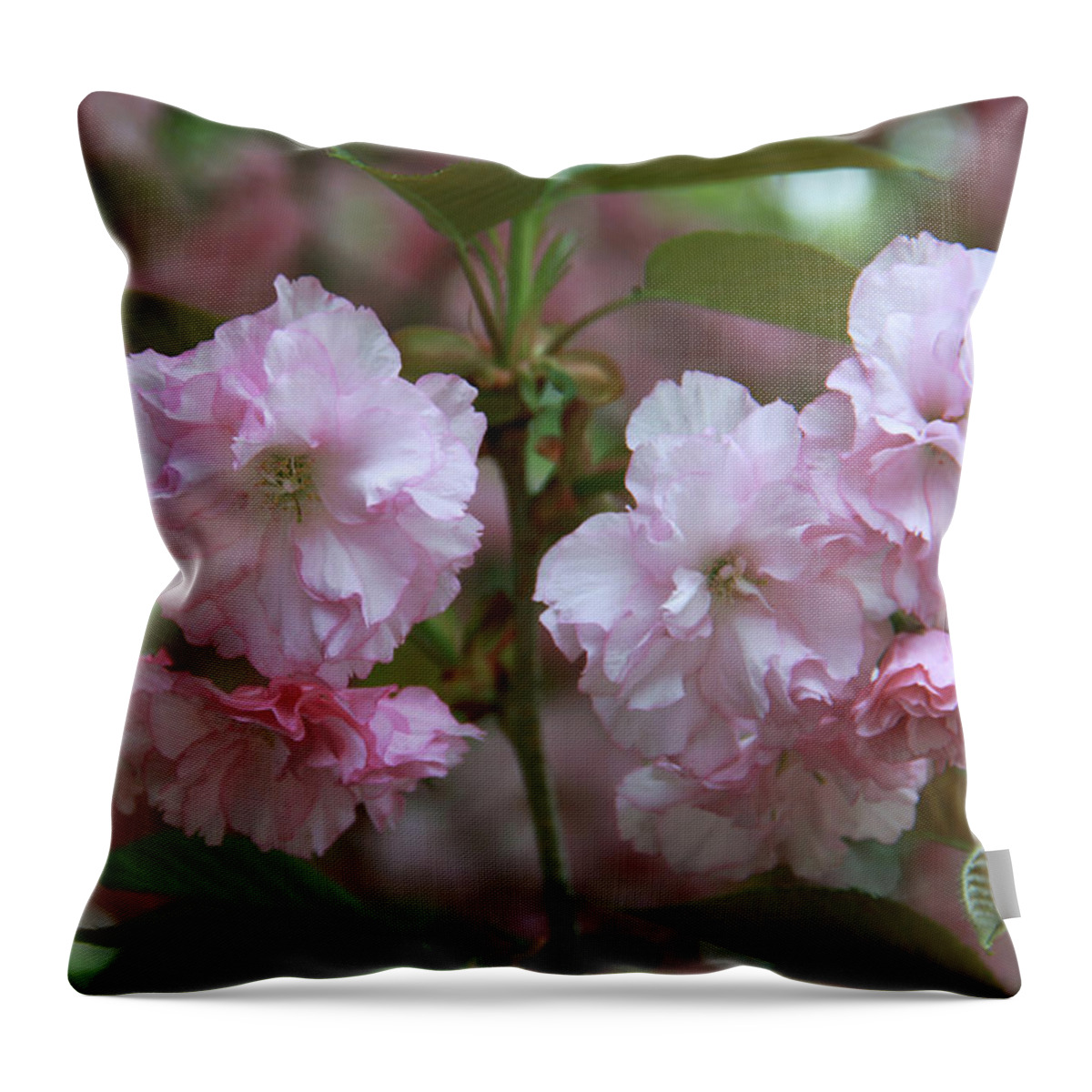 Pink Throw Pillow featuring the photograph Pink Blossoms of Crabapple Tree by Yvonne Wright