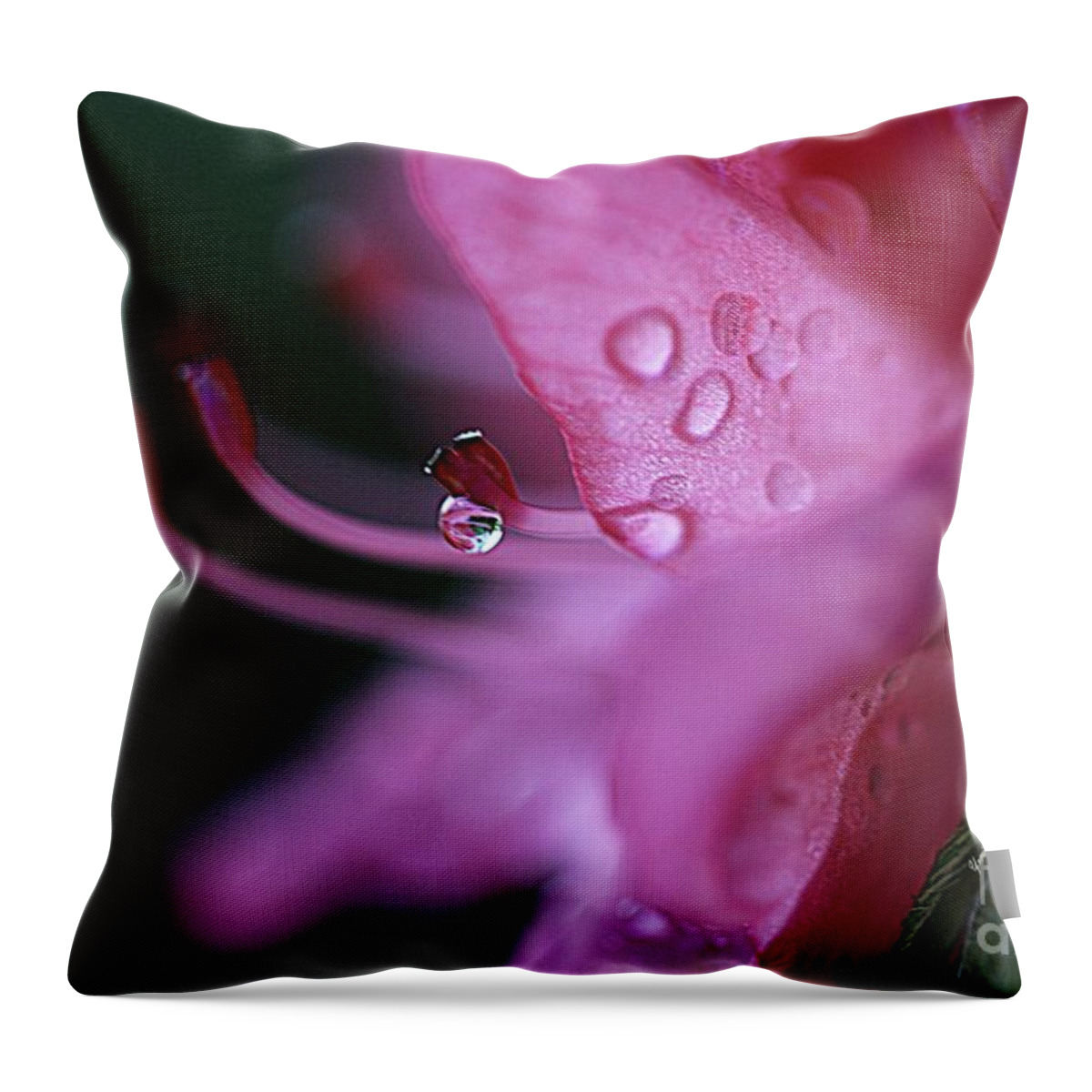 Droplets Throw Pillow featuring the photograph Pink Droplet #1 by Yumi Johnson