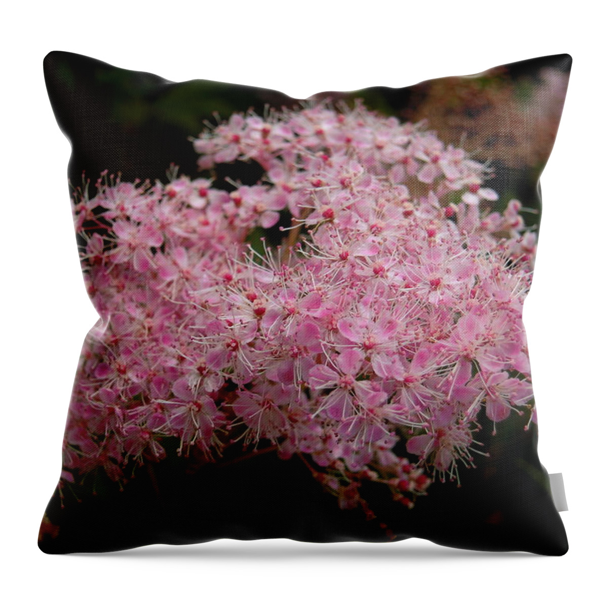 Pink Throw Pillow featuring the photograph Pink Flower #2 by Svetlana Sewell
