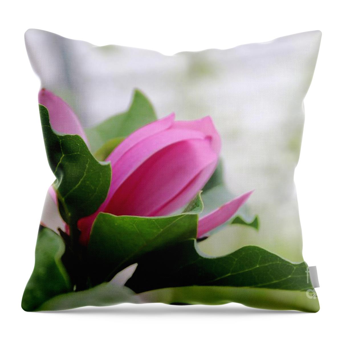 Pink Magnolia Throw Pillow featuring the photograph Pink Magnolia #1 by Yumi Johnson