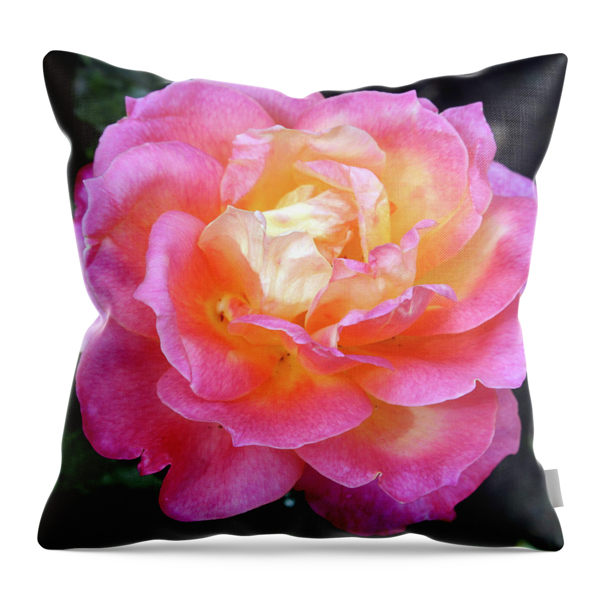Rose Throw Pillow featuring the photograph Pink with Yellow Center Rose #1 by Ellen Tully