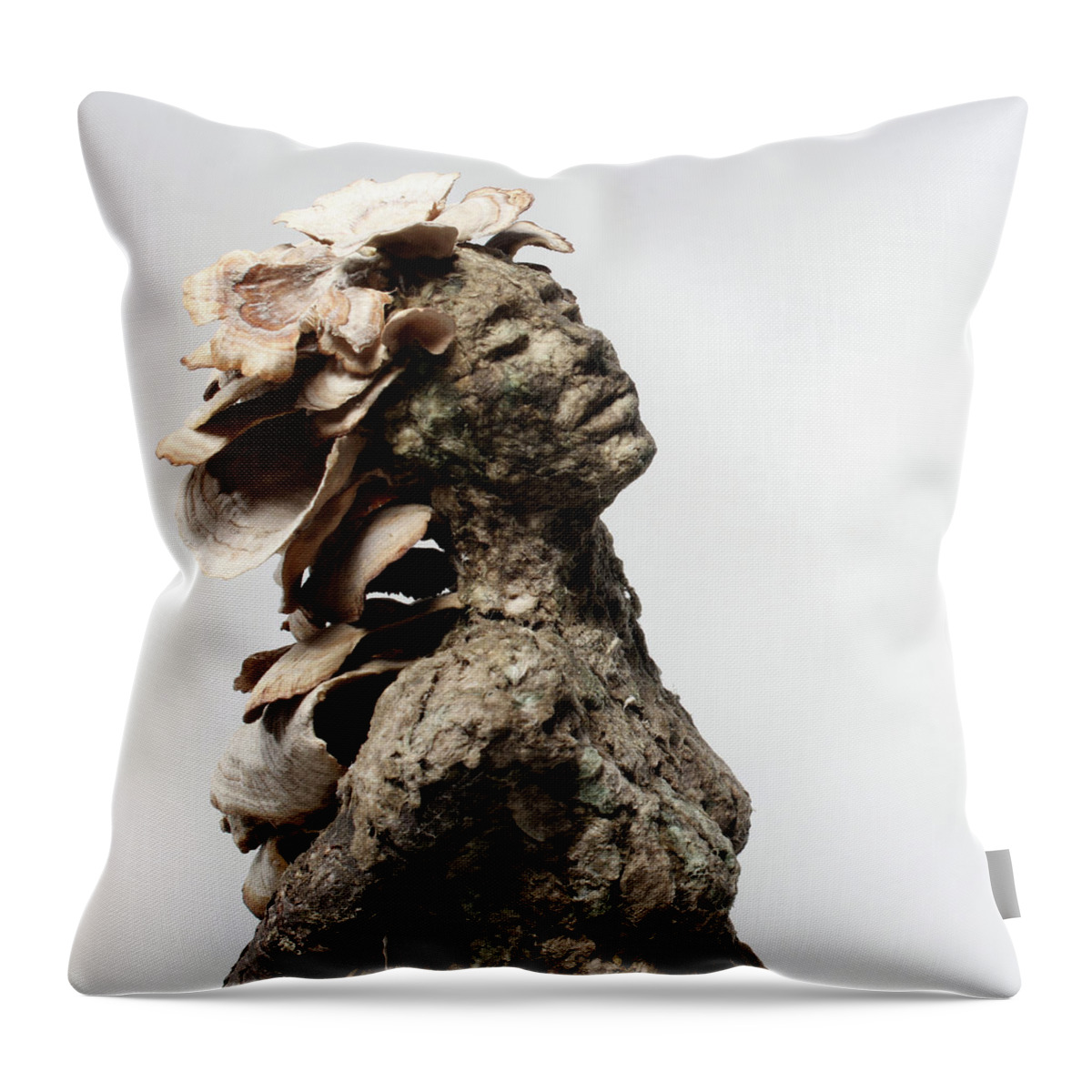 Art Throw Pillow featuring the mixed media Placid Efflorescence #3 by Adam Long