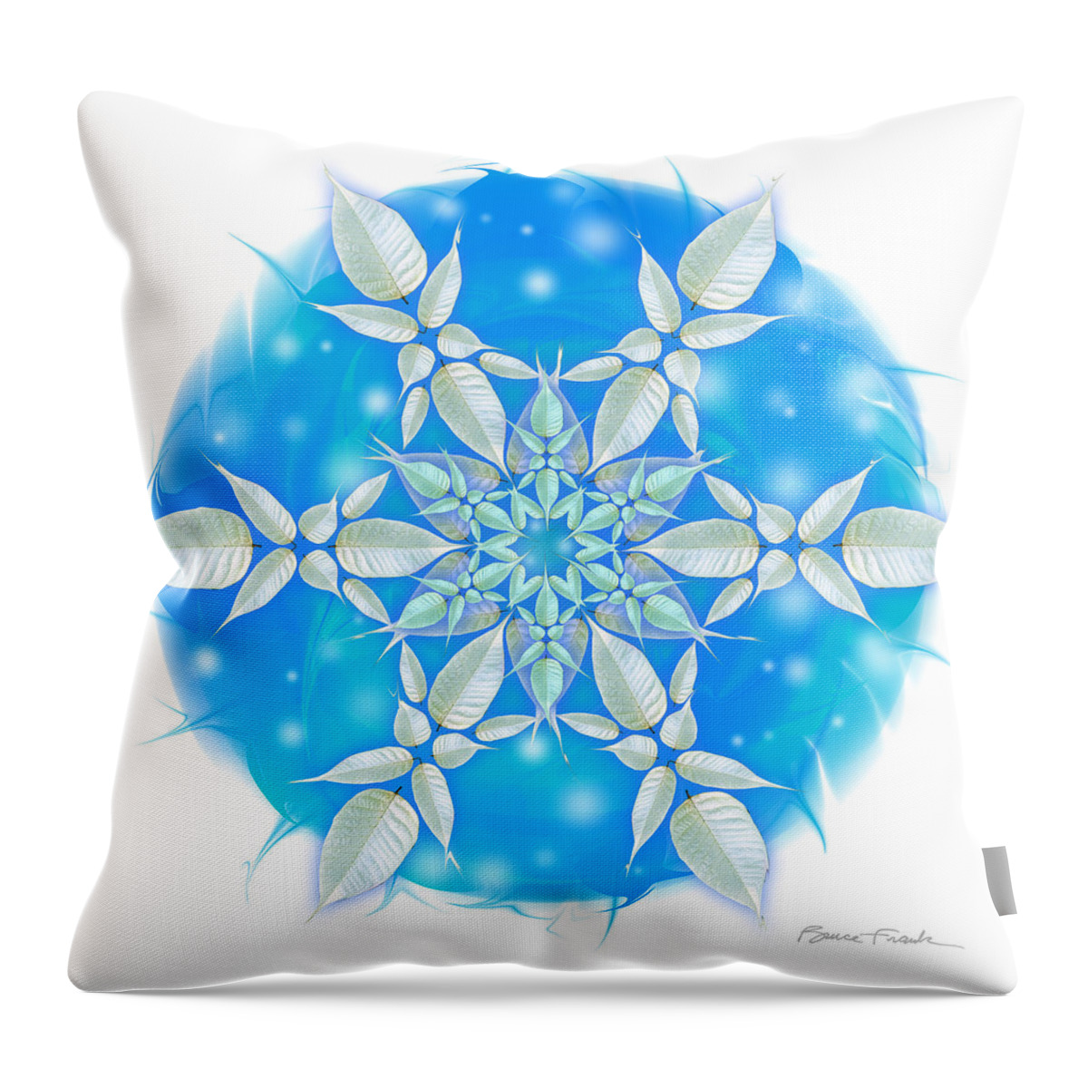 Holiday Throw Pillow featuring the photograph Poinsettia Snowflake #1 by Bruce Frank