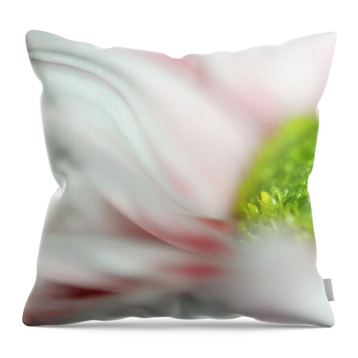 Close Up Throw Pillow featuring the photograph Point of Origin #1 by Sandra Parlow