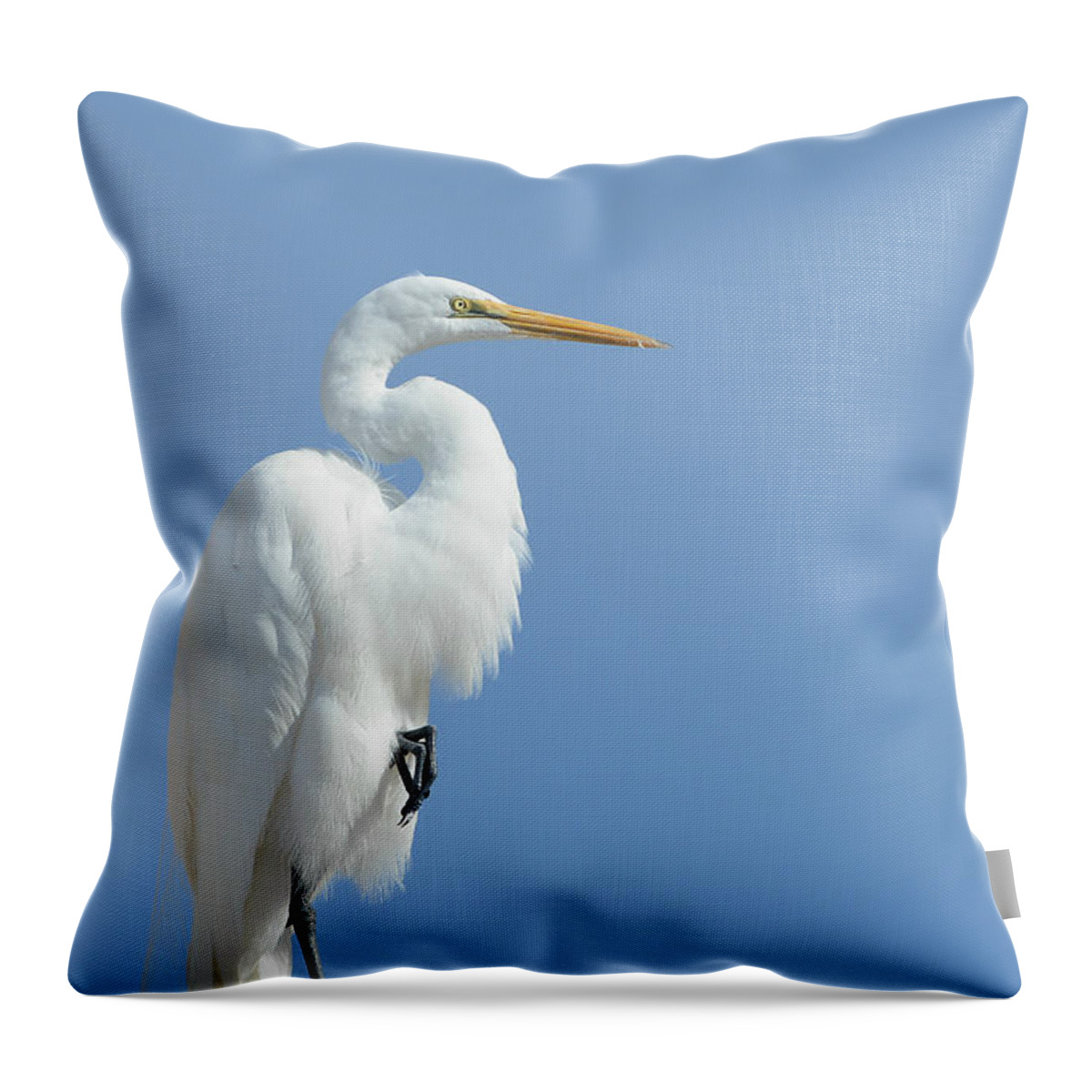 Great Egret Throw Pillow featuring the photograph Poised #1 by Fraida Gutovich