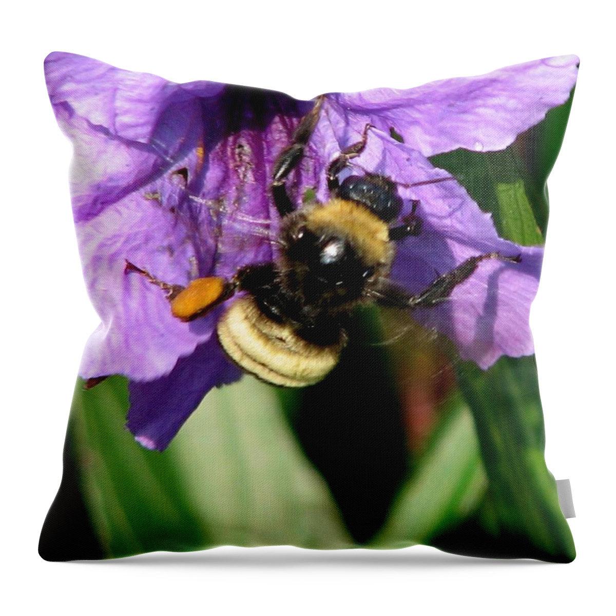 Pollination Throw Pillow featuring the photograph Pollination 2 #1 by J M Farris Photography