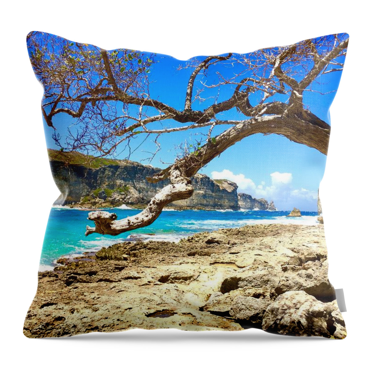 Guadeloupe Throw Pillow featuring the photograph Porte d Enfer, Guadeloupe #1 by Cristina Stefan