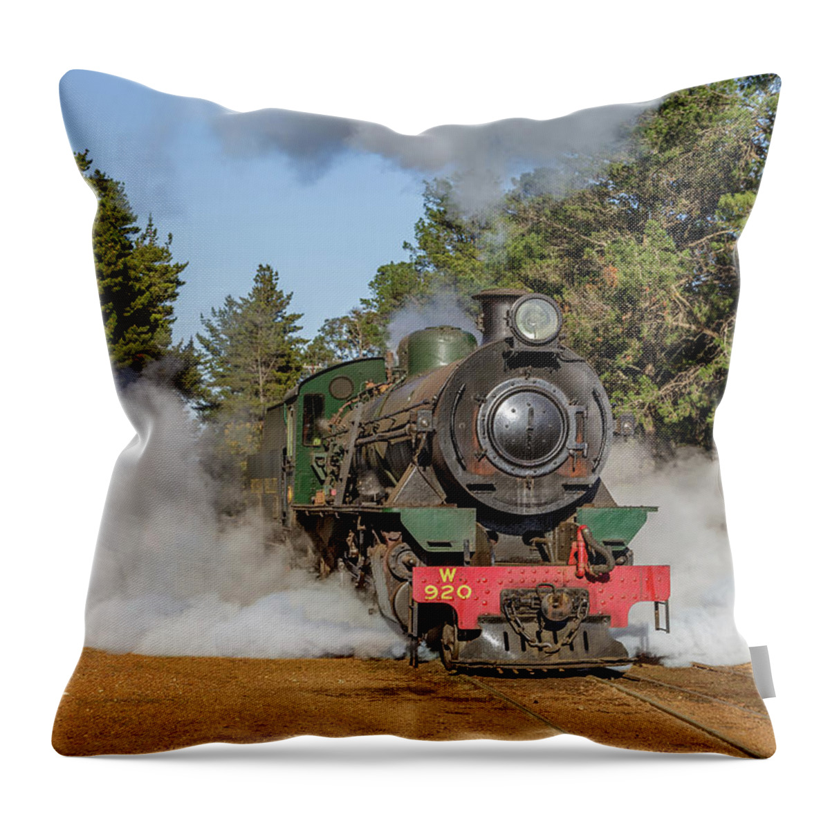 Steam Throw Pillow featuring the photograph Steam Loco W920 by Robert Caddy