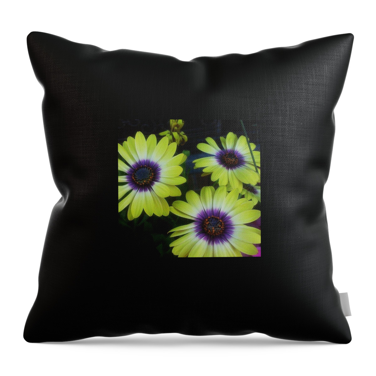 Purple Throw Pillow featuring the photograph Pretty! 💛 #flowers #nature #yellow #1 by LaTasha Bunting 