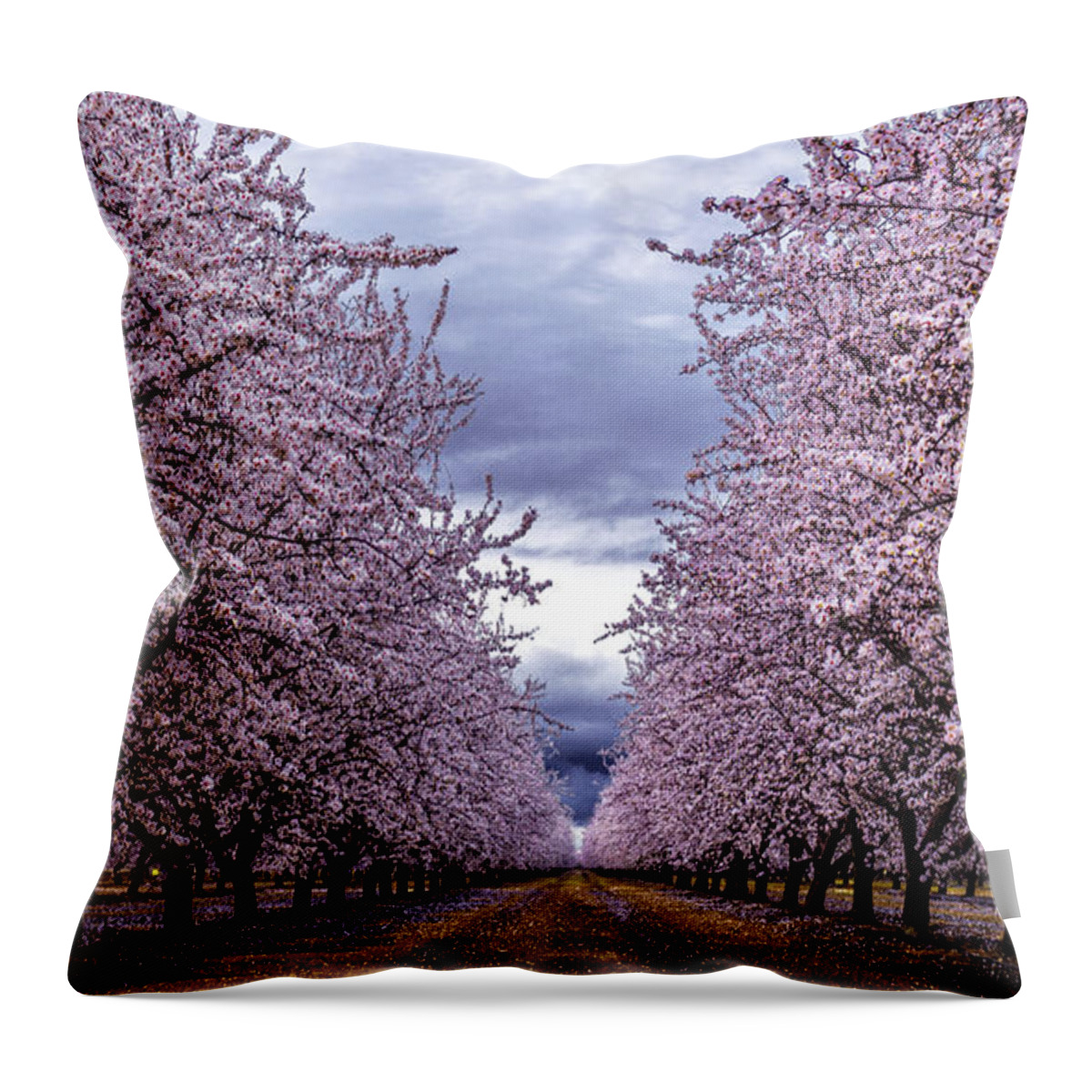 Orchards Throw Pillow featuring the photograph Pretty in Pink #1 by Janet Kopper