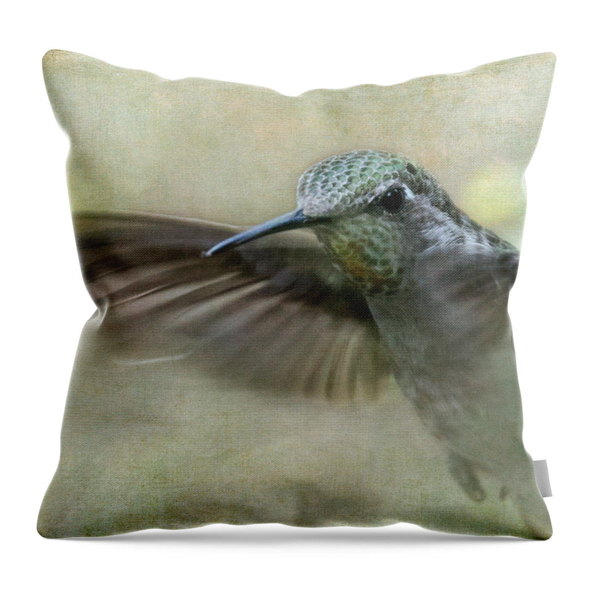 Hummingbird Throw Pillow featuring the photograph Pretty Lady #1 by Angie Vogel
