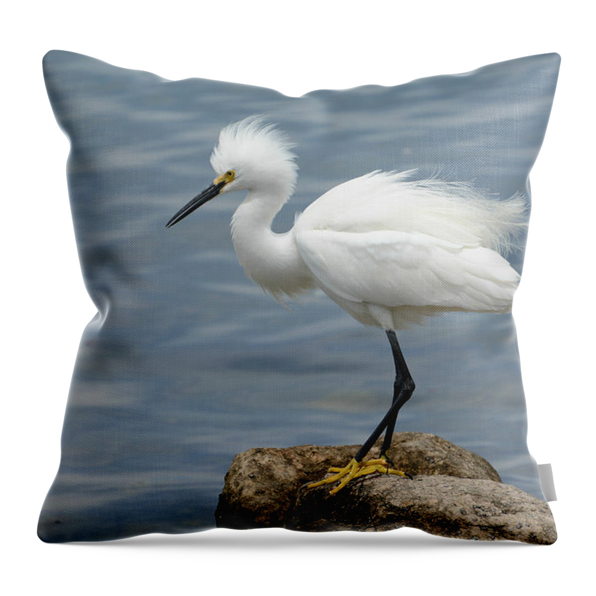 Snowy Egret Throw Pillow featuring the photograph Private Island #1 by Fraida Gutovich