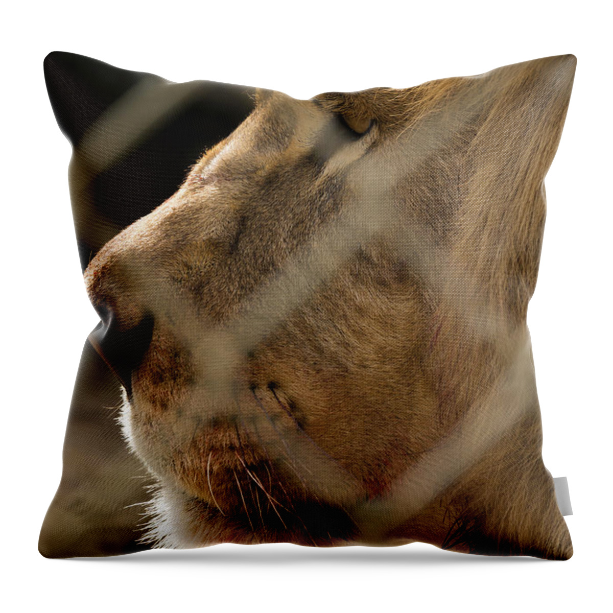 Acres Throw Pillow featuring the photograph Profile of a King #2 by Travis Rogers