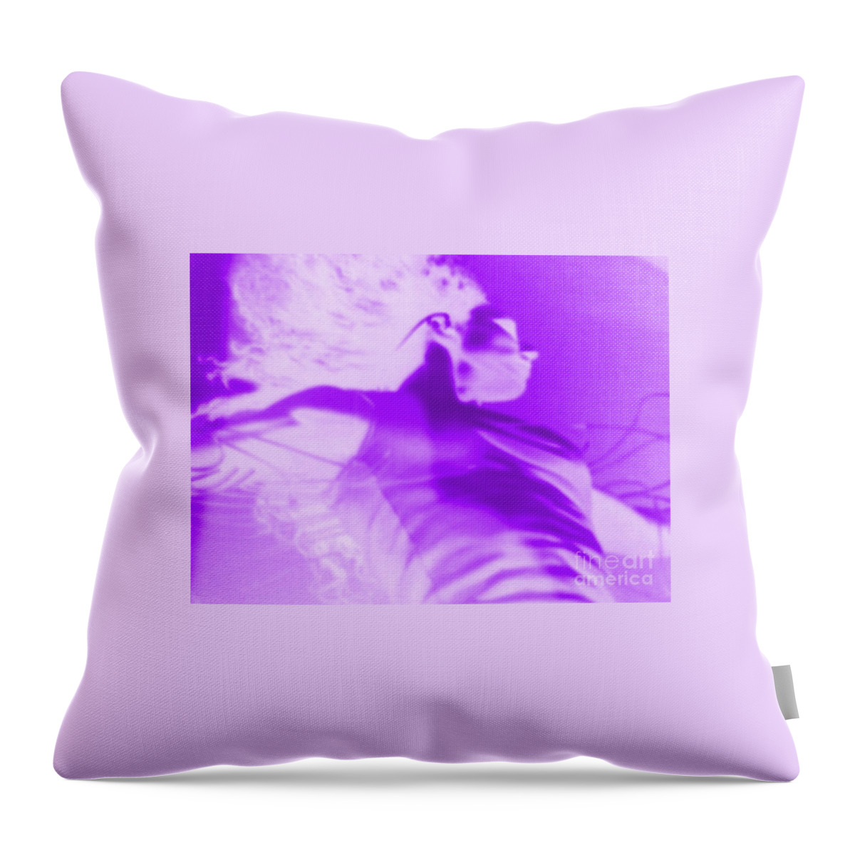 Purple Throw Pillow featuring the photograph Purple Haze #1 by Vicki Lynn Sodora