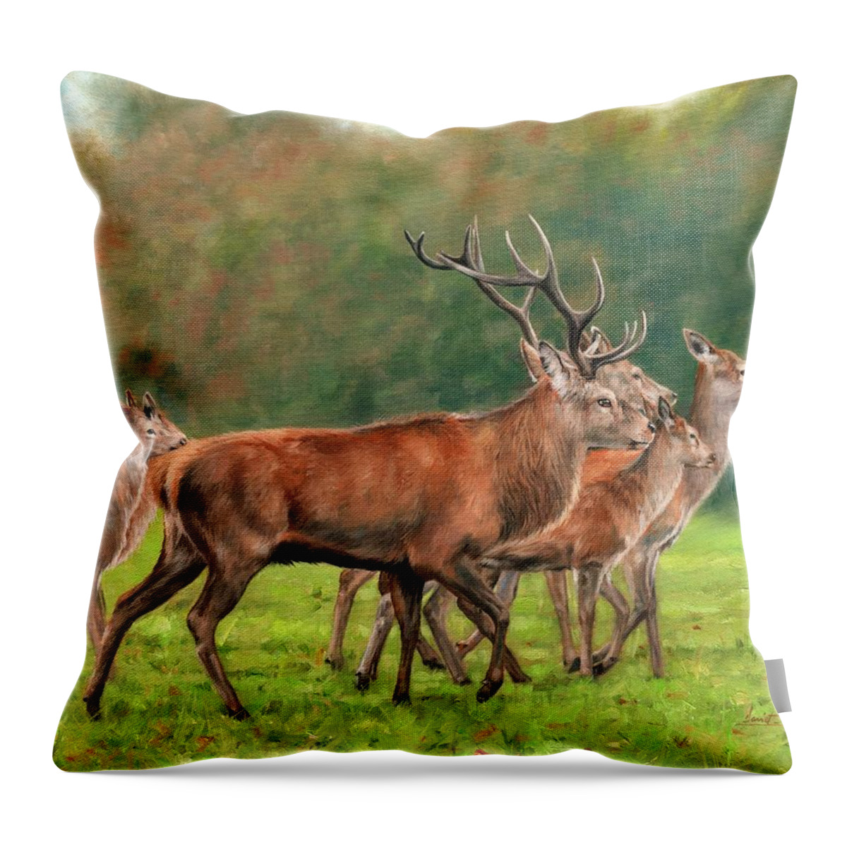 Red Deer Throw Pillow featuring the painting Red Deer #1 by David Stribbling