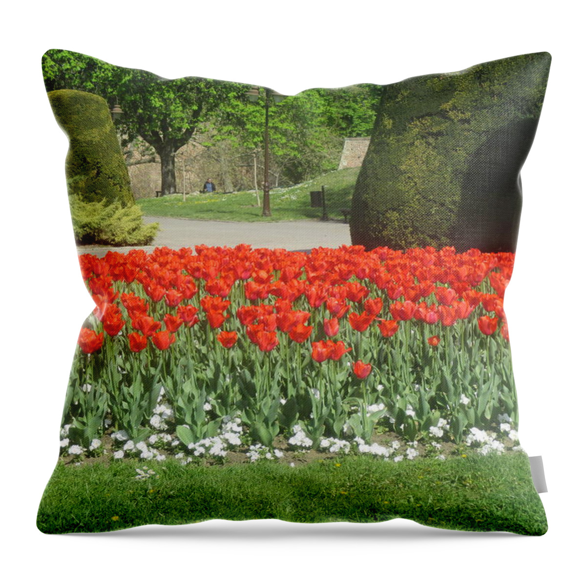 Flowers Throw Pillow featuring the photograph Red flowers in the Kalemegdan park in Belgrade #1 by Anamarija Marinovic