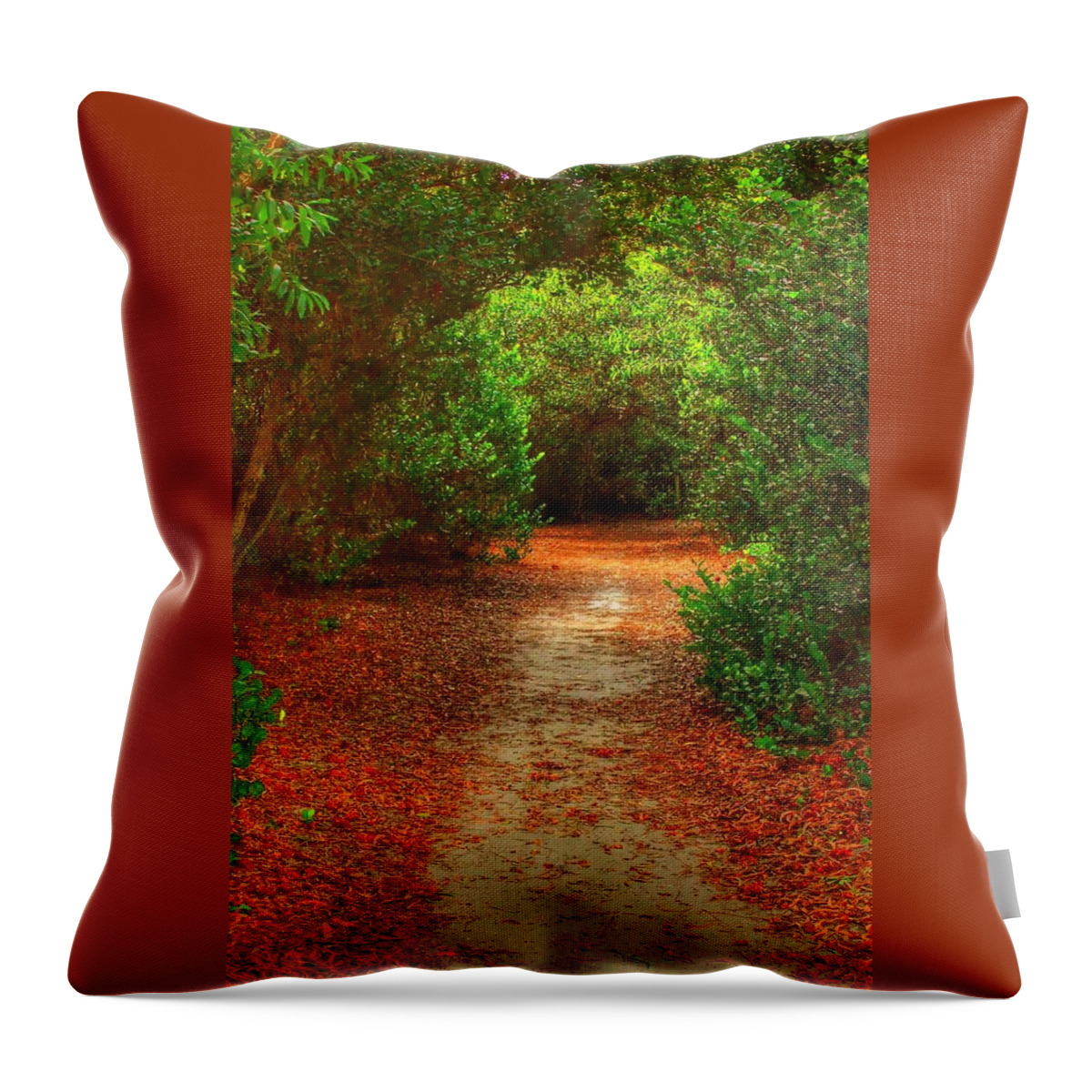 Red Throw Pillow featuring the photograph Red Road #1 by Aggie Janowska