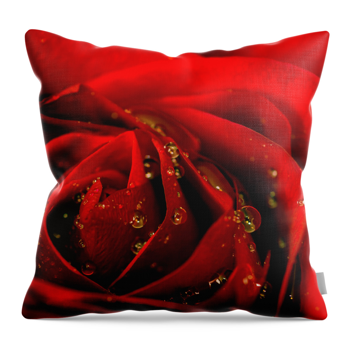 Rose Throw Pillow featuring the photograph Red Rose 2 by Keith Smith