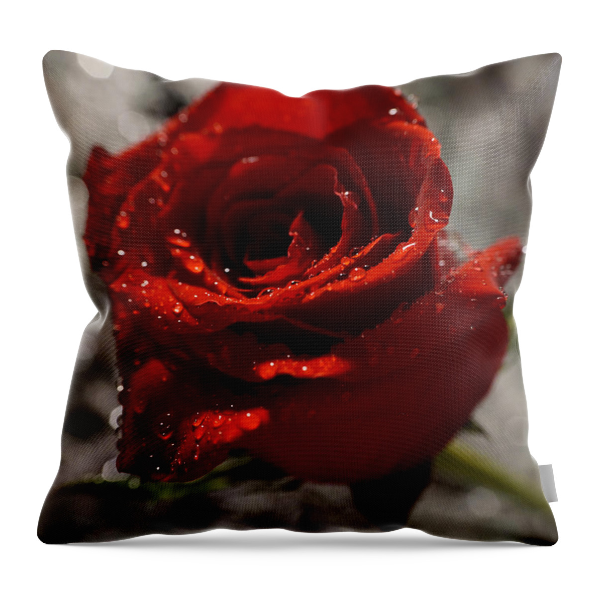 Rose Throw Pillow featuring the photograph Red Rose with rain drops #1 by Lilia S