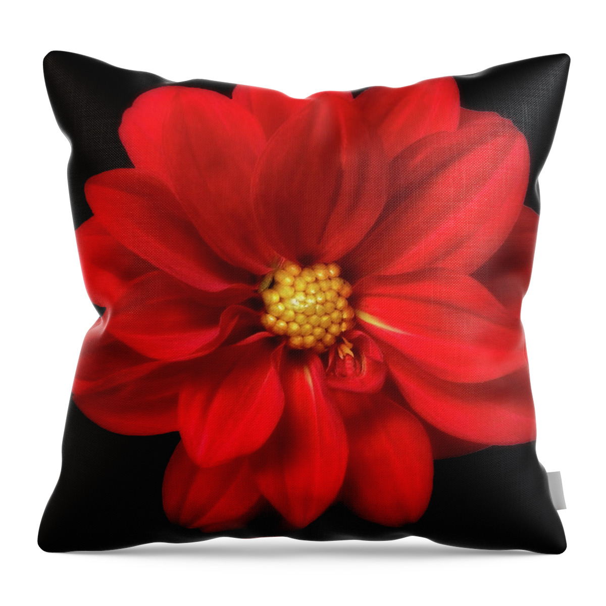 Red Throw Pillow featuring the photograph Red Summer Memory 2 by Johanna Hurmerinta