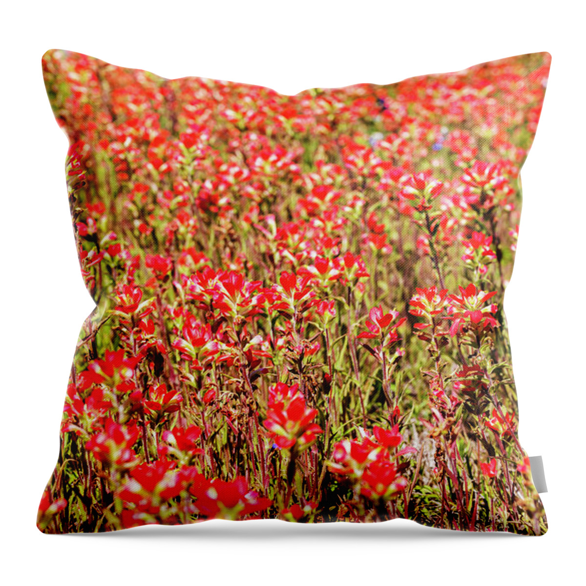 Austin Throw Pillow featuring the photograph Red Texas Wildflowers #1 by Raul Rodriguez