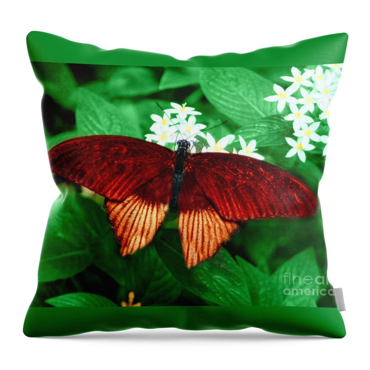 Butterfly Throw Pillow featuring the photograph Red Velvet #1 by Barbara S Nickerson
