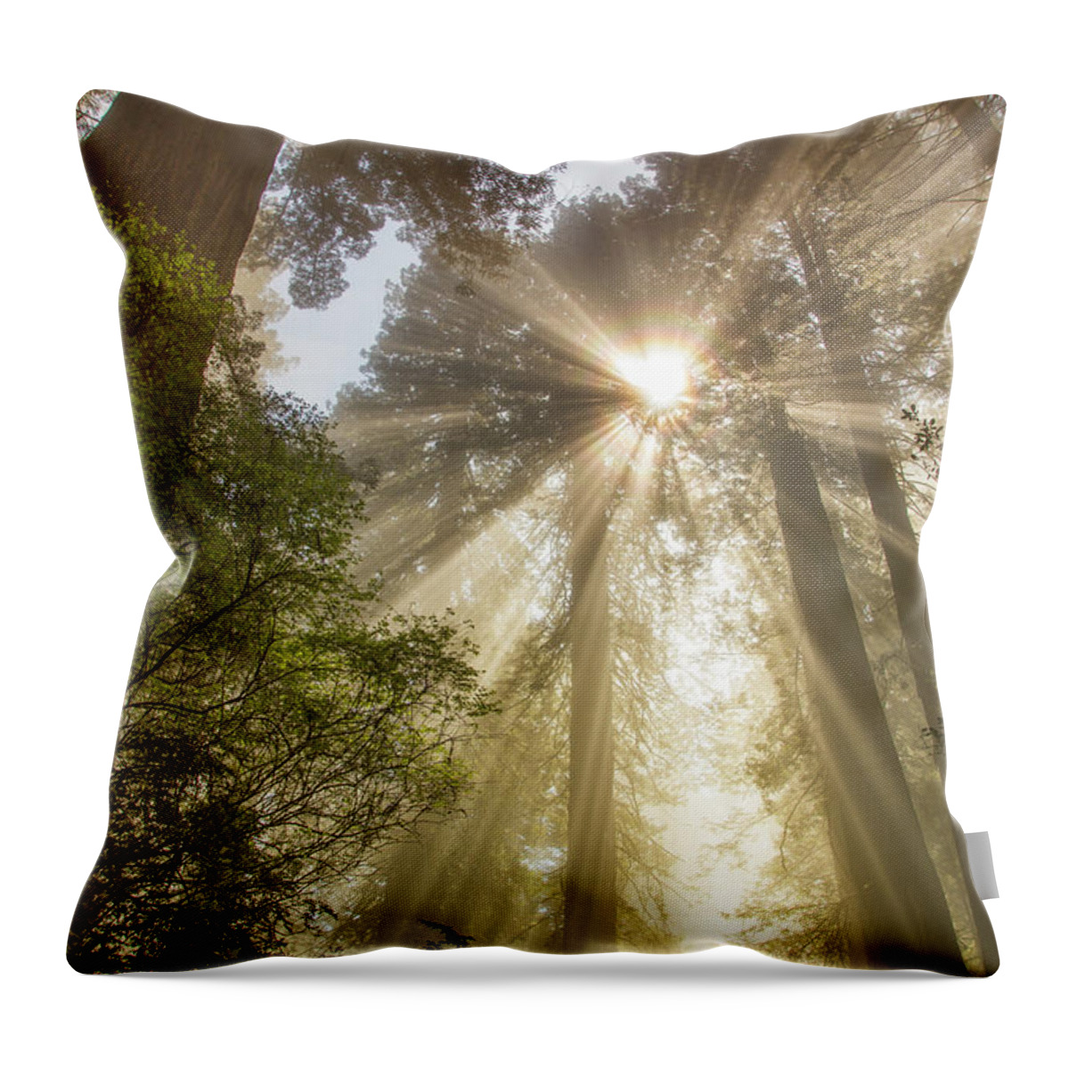 Redwoods Sunburst Throw Pillow featuring the photograph Redwoods sunburst #1 by Kunal Mehra