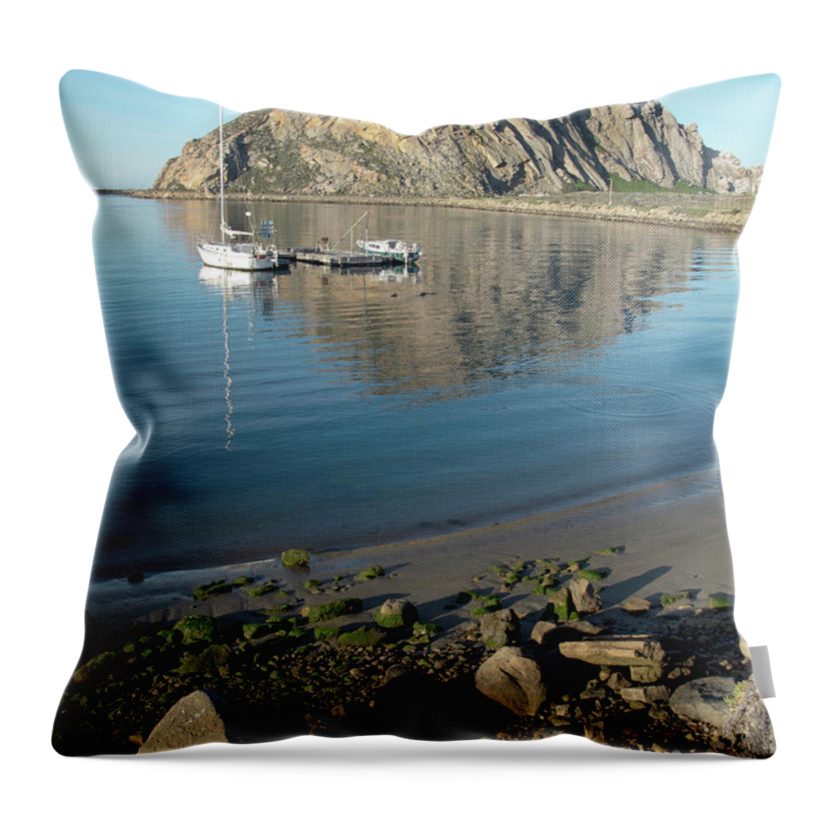 Barbara Snyder Throw Pillow featuring the photograph Reflection Anchorage #1 by Barbara Snyder