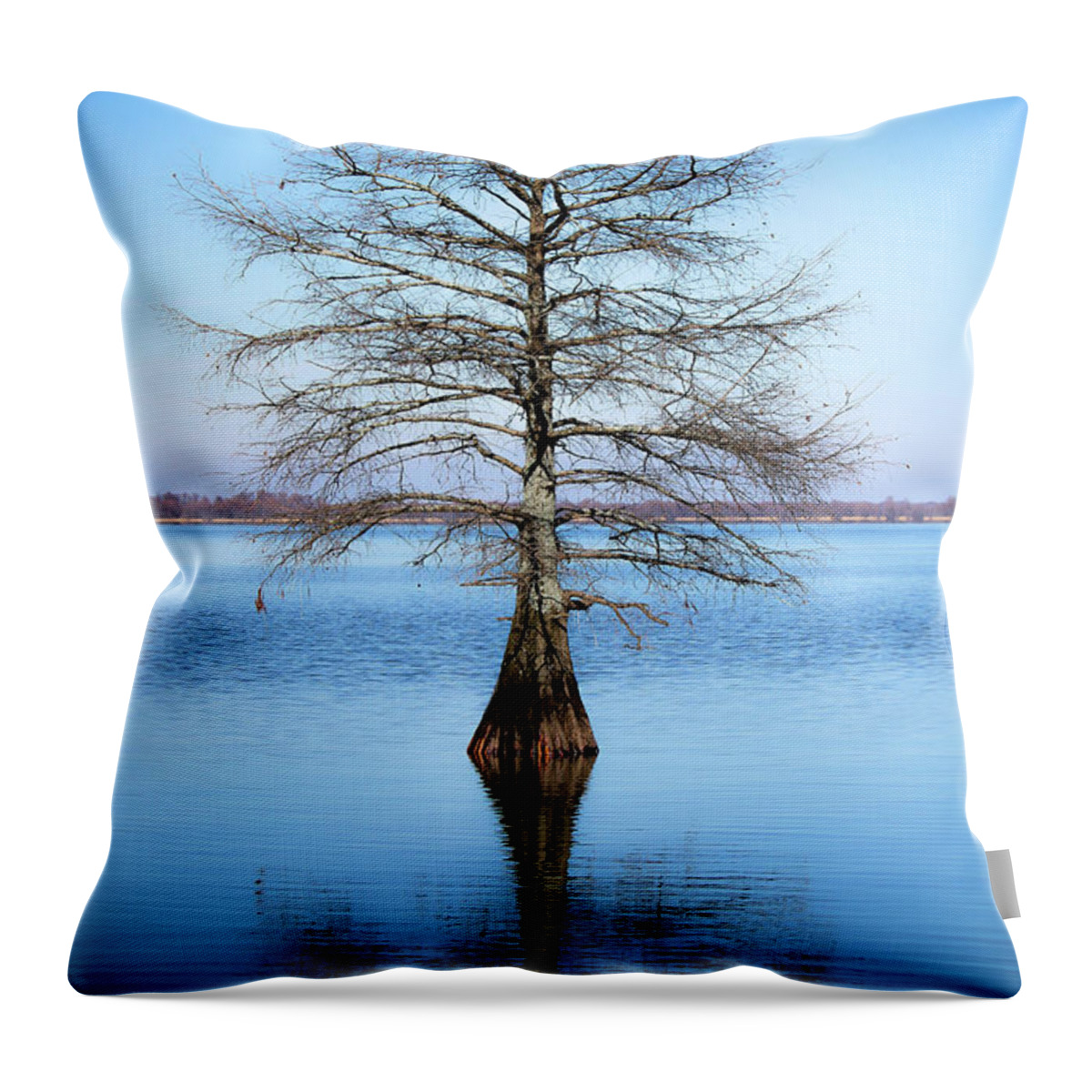 Cyprus Trees Throw Pillow featuring the photograph Reflection #1 by Veronica Batterson