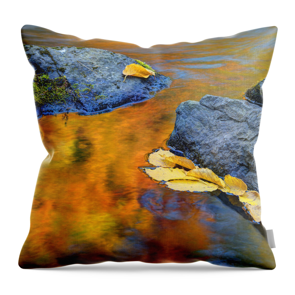 Autumn Throw Pillow featuring the photograph Reflections #1 by Eggers Photography