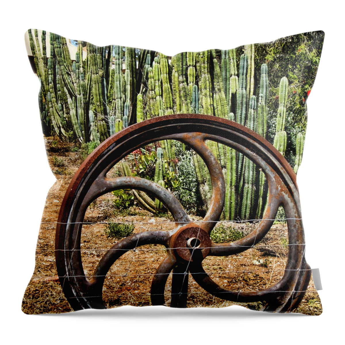 Wheel Throw Pillow featuring the photograph Reinvented #1 by Douglas Barnard