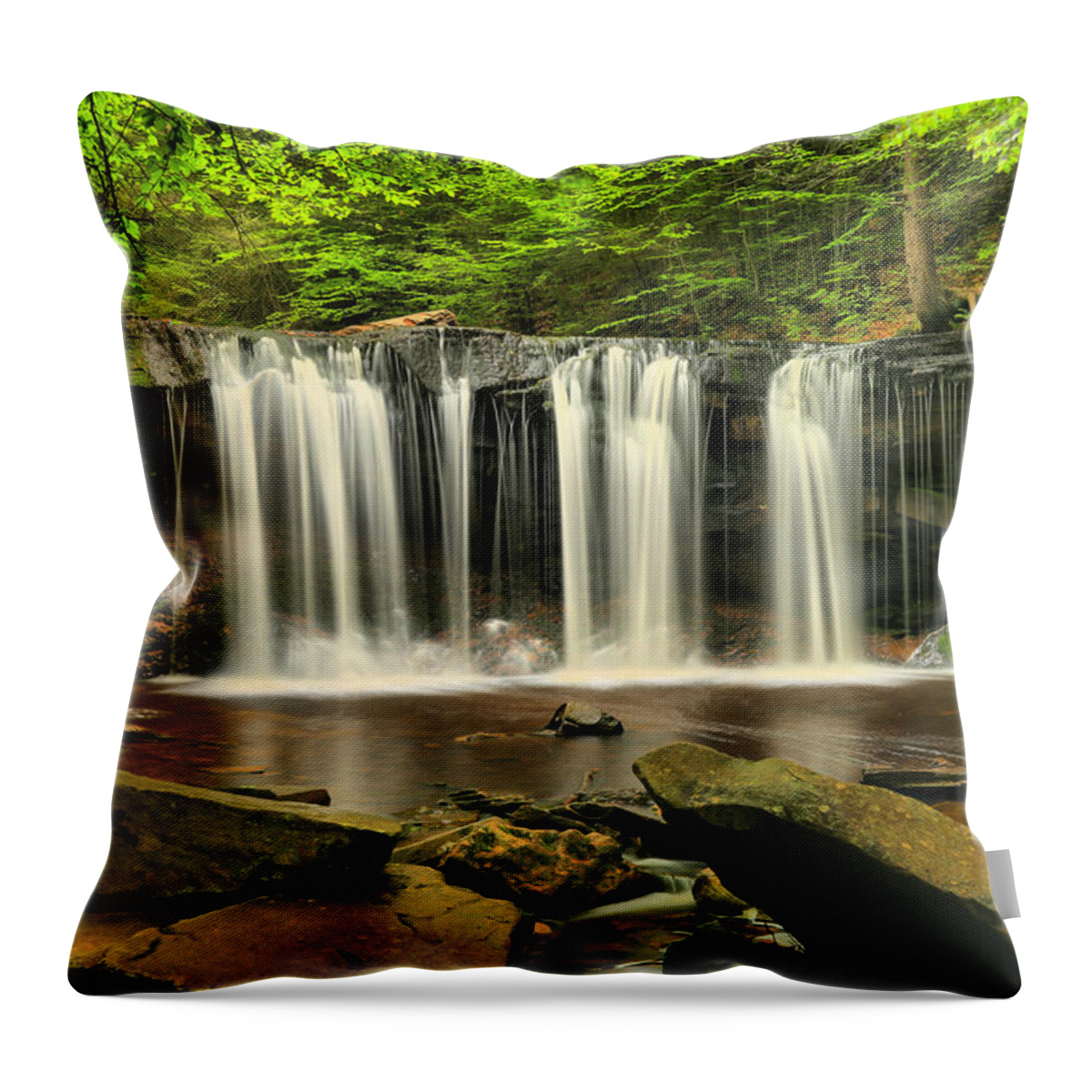 Oneida Falls Throw Pillow featuring the photograph Ricketts Glen Oneida Falls #1 by Adam Jewell