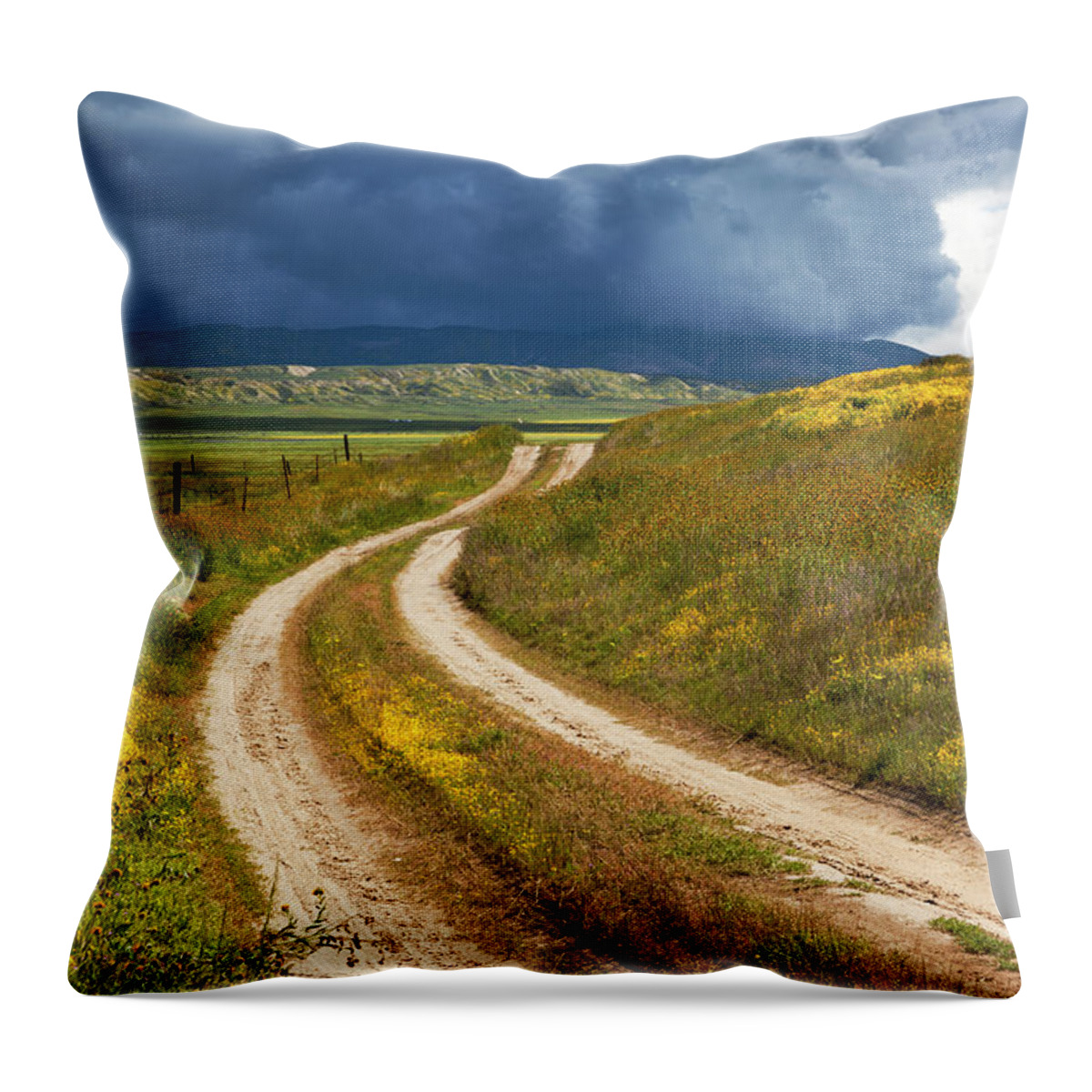 Carrizo Throw Pillow featuring the photograph Road Through the Wildflowers #1 by Rick Pisio