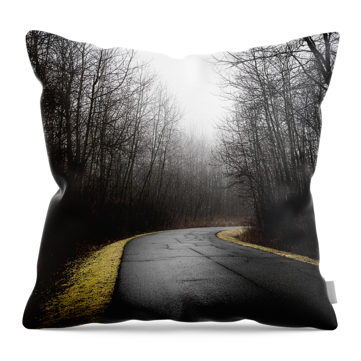 Roads Throw Pillow featuring the photograph Roads to Nowhere #1 by Celso Bressan
