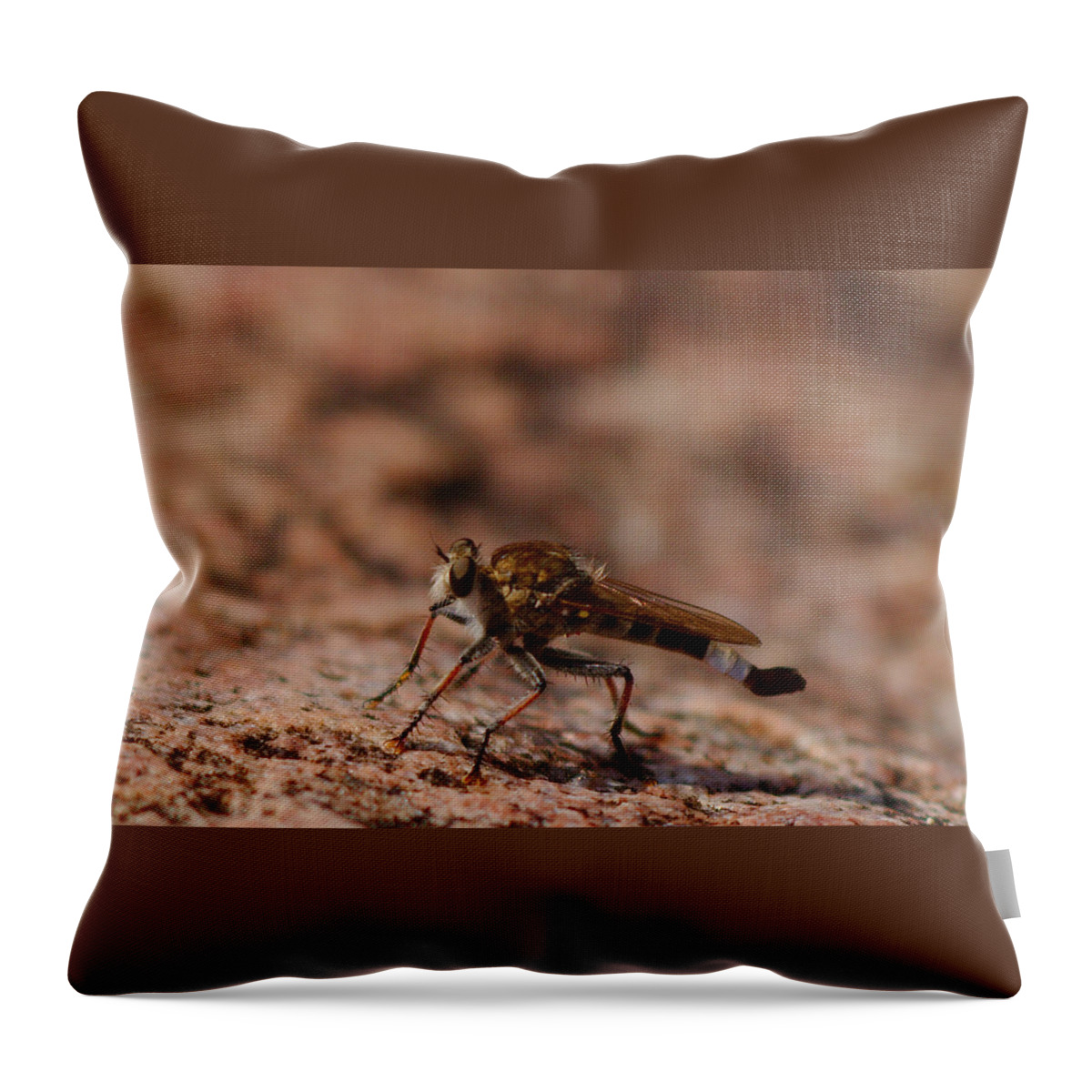 Fly Throw Pillow featuring the photograph Robber fly #1 by James Smullins