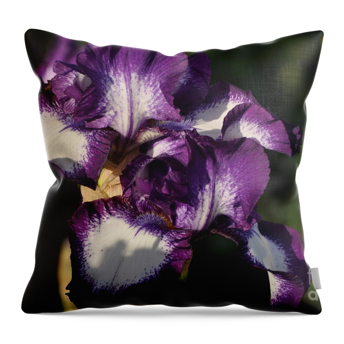 Purple Throw Pillow featuring the photograph Royal #1 by Nona Kumah