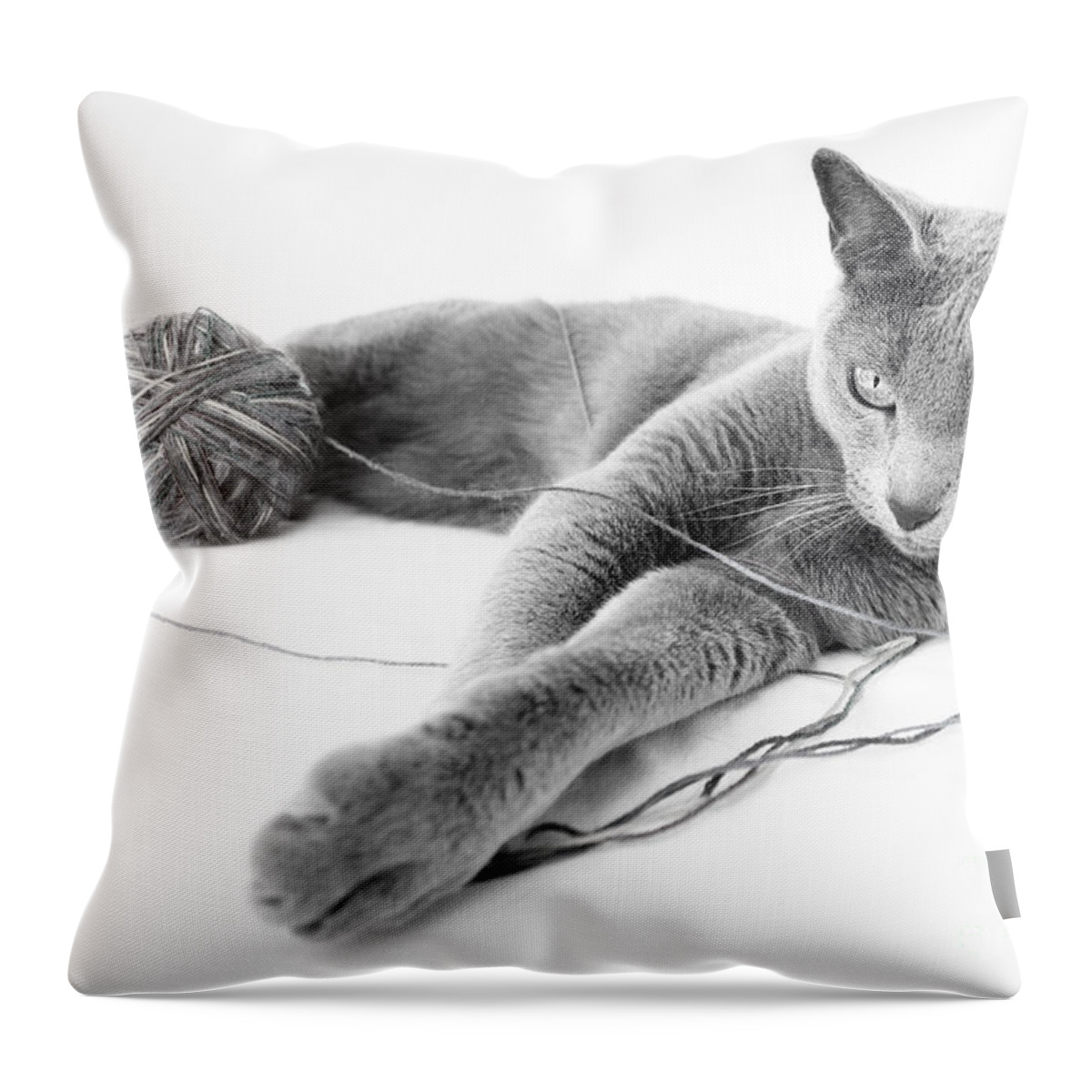 Russian Throw Pillow featuring the photograph Russian Blue #12 by Nailia Schwarz