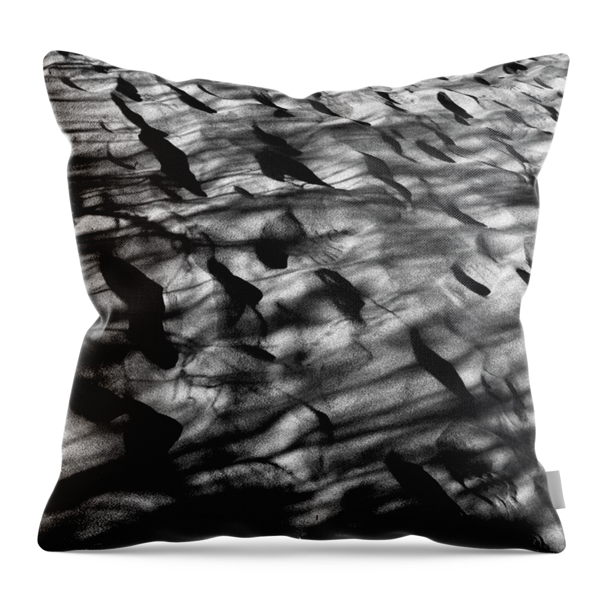 Sand Dune Throw Pillow featuring the photograph Sand Dune #1 by Catherine Lau