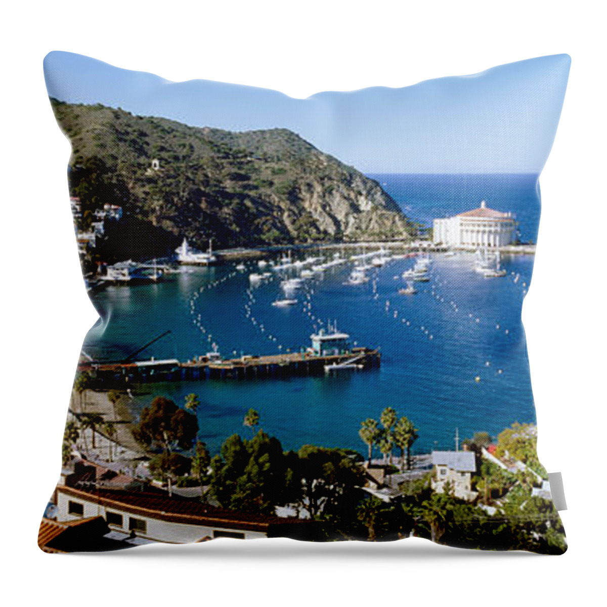 Photography Throw Pillow featuring the photograph Santa Catalina Island Ca #1 by Panoramic Images