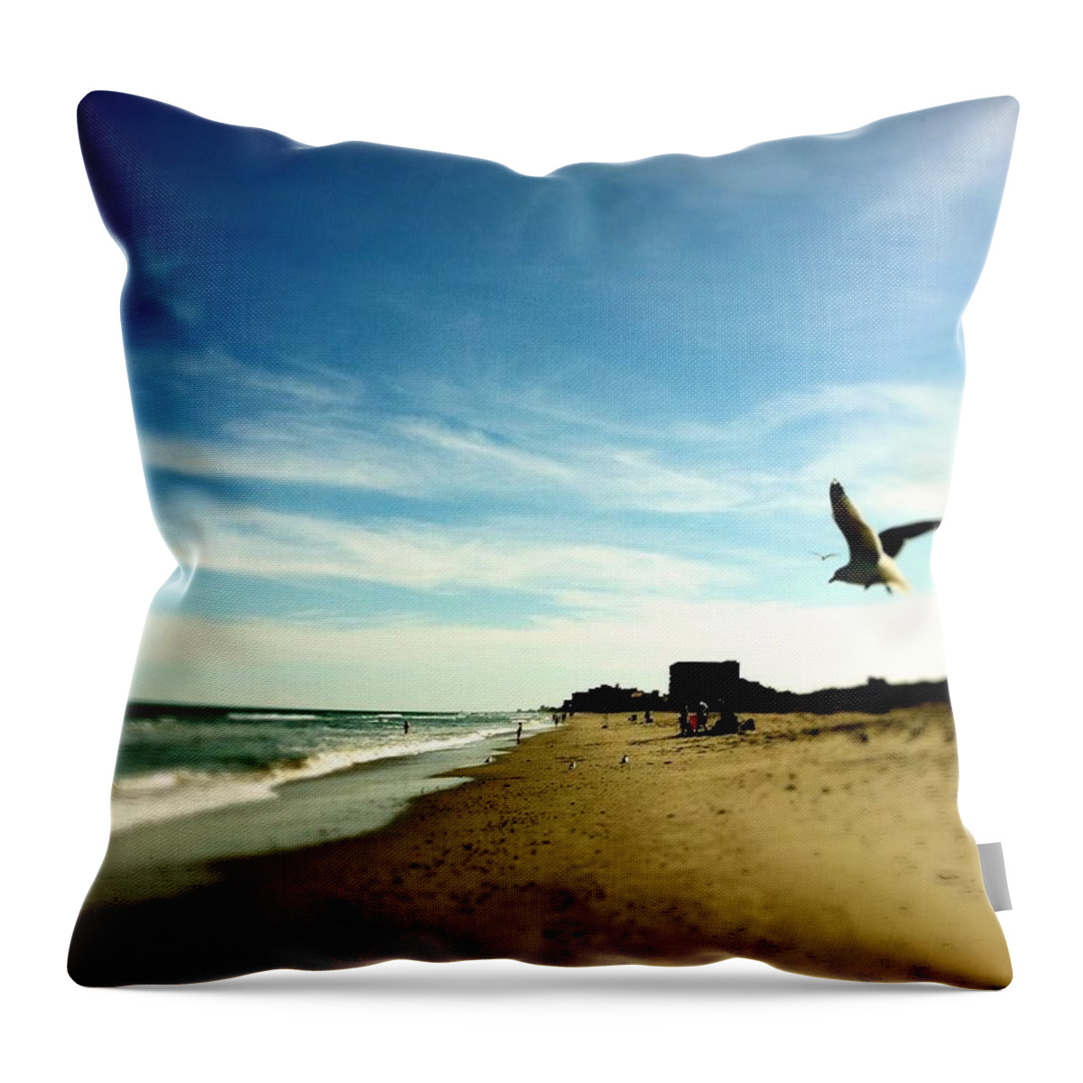 Majestic Throw Pillow featuring the photograph Seagulls At The Beach. #1 by Carlos Avila