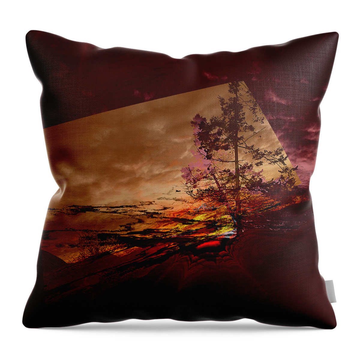 Tree Throw Pillow featuring the photograph Sechelt Tree 3 #1 by Elaine Hunter