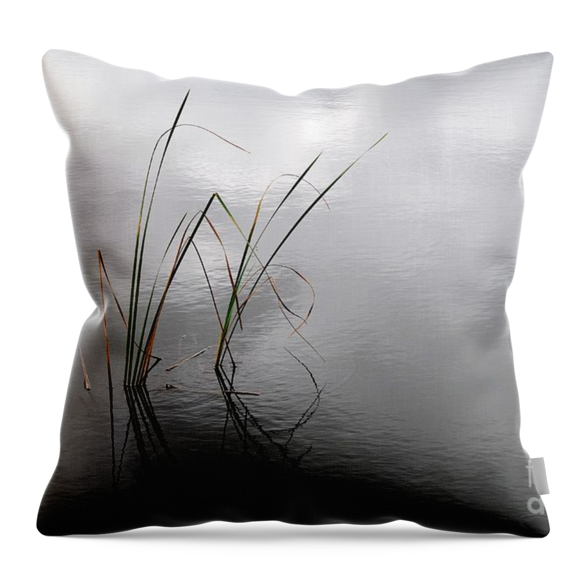Serenity Throw Pillow featuring the photograph Serenity #1 by Gary Richards