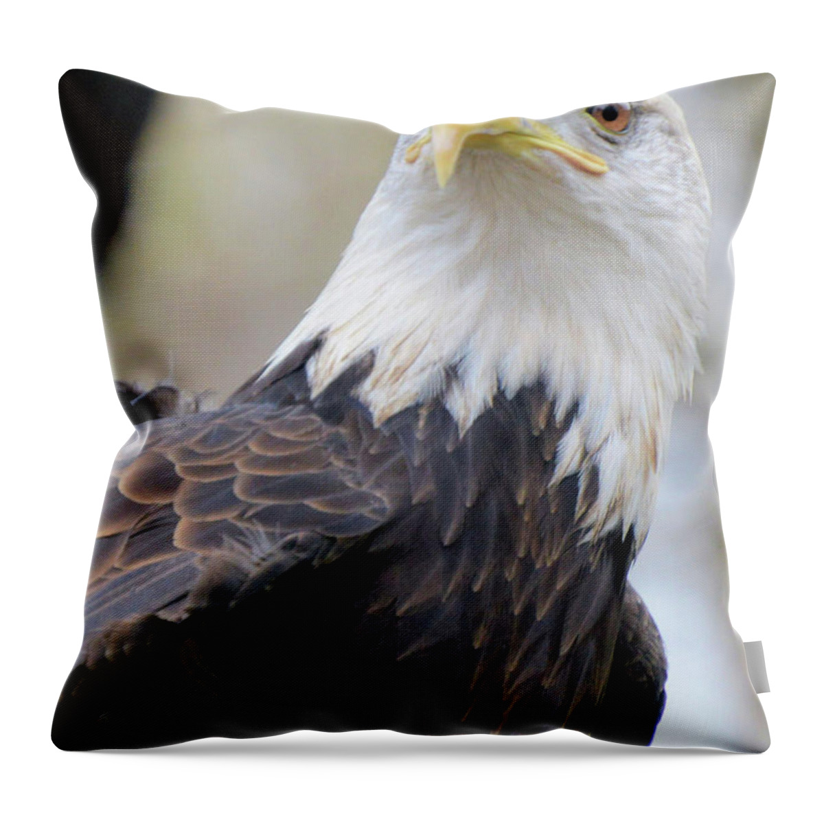 Birds Throw Pillow featuring the photograph Sign of Strength #1 by Charles HALL